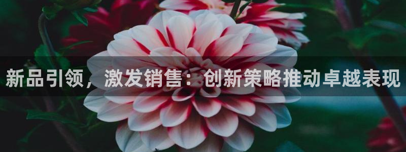 必赢官网下载app
