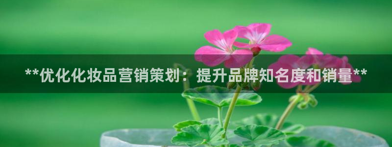 必赢棋盘9965.0版本