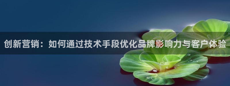 必赢平台怎么样