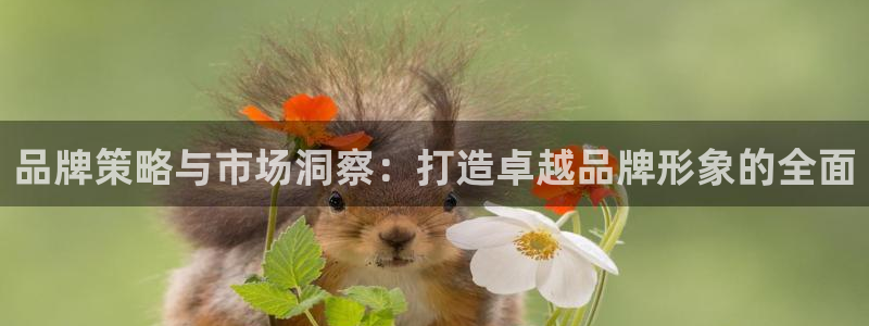 必赢下载安卓版