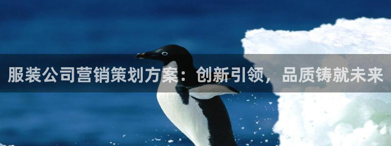 必赢账号：服装公司营销策划方案