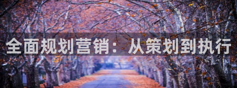 必赢官网网址多少号登录入口