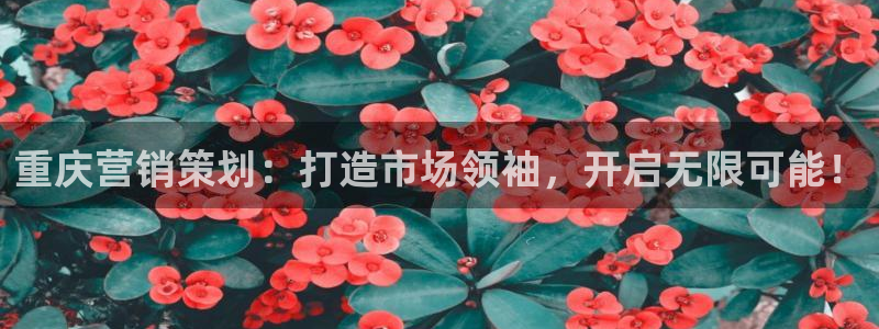 95必赢网址多少