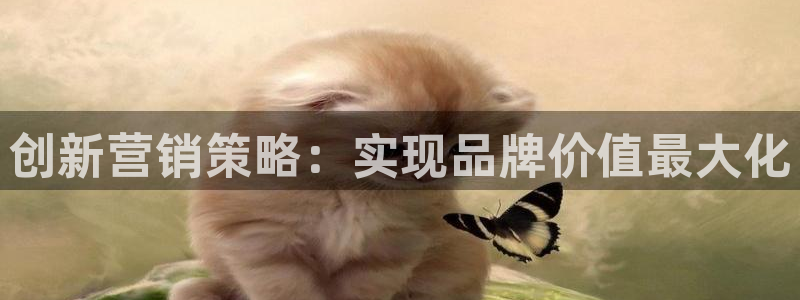 必赢网站打不开