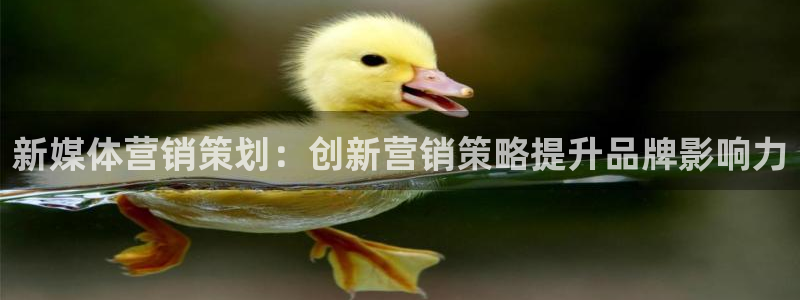 必赢这个平台怎么样知乎