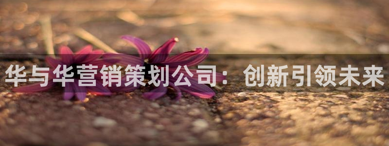 必赢网址谁知道是真的