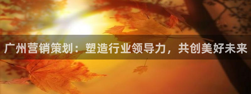 必赢手机版网站多少