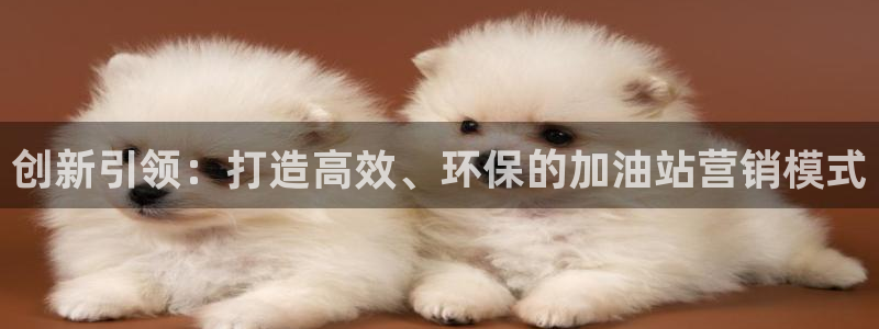 必赢网站是多少啊